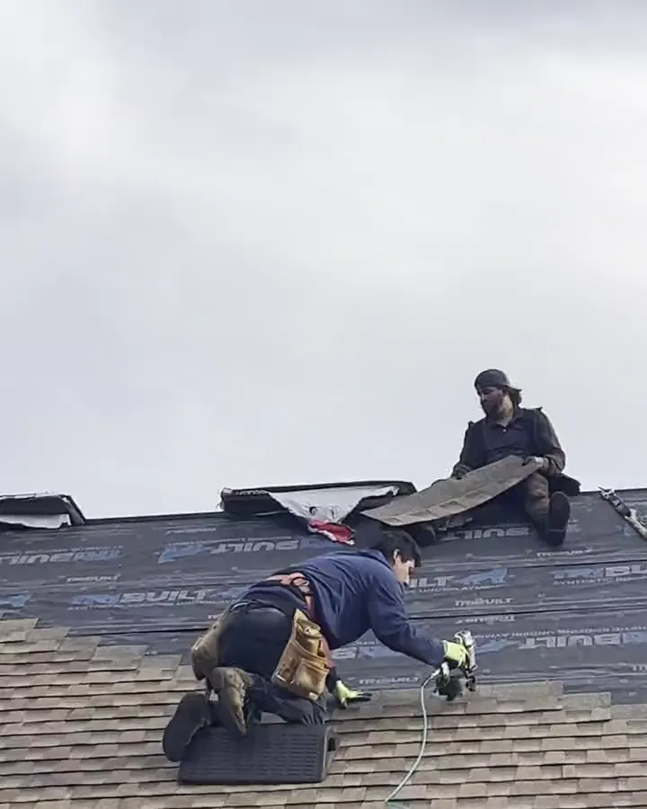Close view from the ground of the crew installing tan shingles up the slope, one worker nailing at the edge of the underlayment and another on a ladder at the eave.